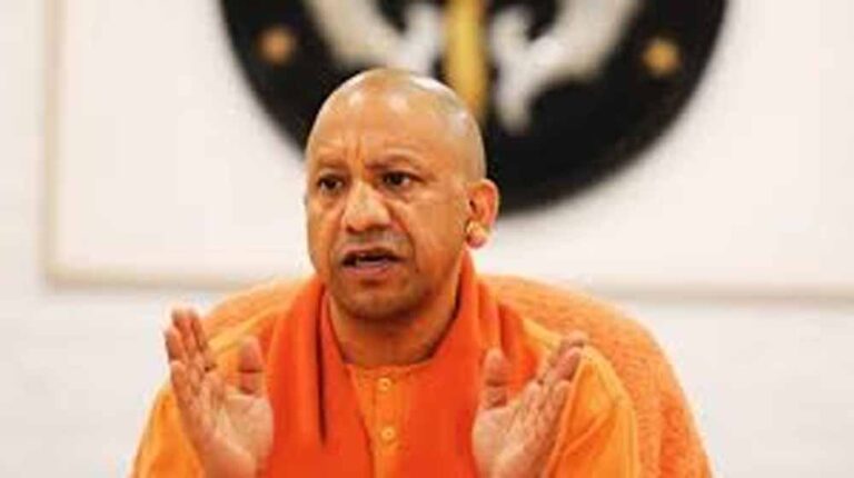 yogi_5-2.jpg