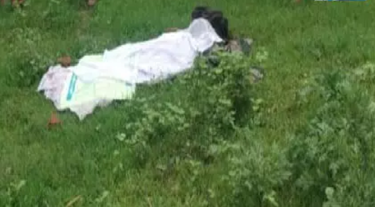 CG : ग्रामीण की मौत, बलरामपुर में हाथी ने कुचला…