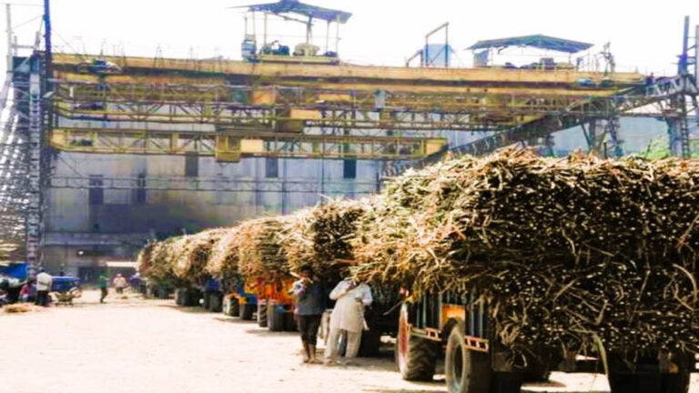 किसानों के हित में बड़ा कदम, खराब उर्वरक और कीटनाशक देने वाली चीनी मिलों पर होगी कार्रवाई