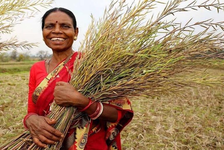 हाट से ऑनलाइन मार्केट तक: सेतु योजना ने झारखंड की महिला किसानों को दिलाई नई पहचान