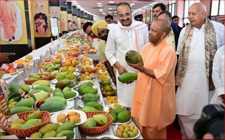 मलिहाबाद का दशहरी जीआई टैग के साथ ग्लोबल ब्रांड, यूपी आम महोत्सव में किसानों को बड़ा मंच