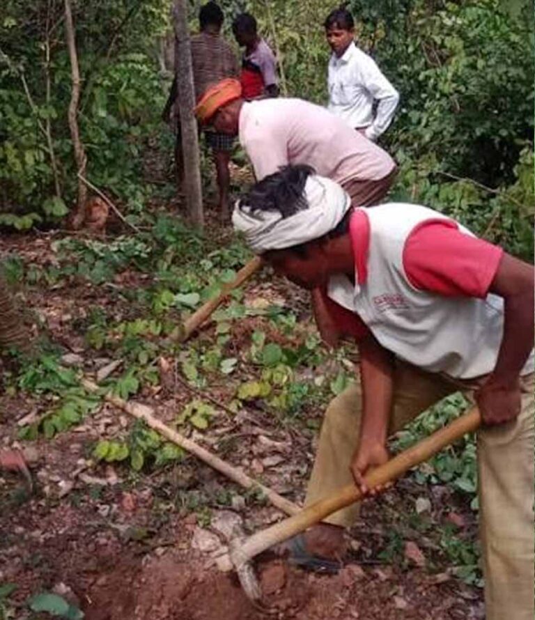 अबूझमाड़ की बदलेगी तस्वीर! जंगलों में महकेगी कॉफी, ओडिशा में प्रशिक्षण लेंगे अधिकारी