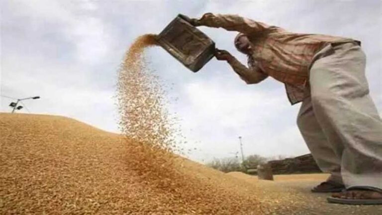 गेहूं उपार्जन में अनियमितताओं की पहचान के लिए जिला समितियों को दिए गए निर्देश