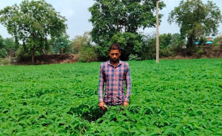 मिट्टी की उर्वरता बढ़ाने और लागत घटाने की दिशा में बना प्रेरक उदाहरण