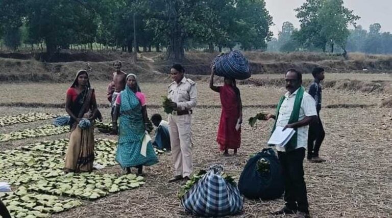 46 हजार से अधिक संग्राहकों के चेहरों पर मुस्कान, धरमजयगढ़ यूनियन बांटेगा 17.43 करोड़ रुपये बोनस