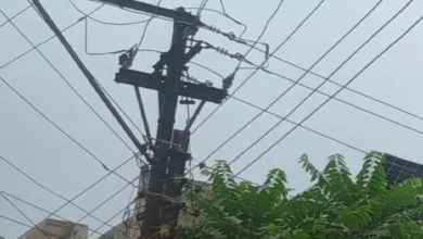 CG : रायपुर के प्रोफेसर कॉलोनी में बड़ी घटना, 2 की मौत …