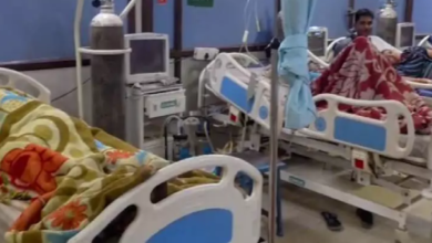 CG : देशी मशरूम खाने से फूड पॉइजनिंग, आधा दर्जन लोग बीमार …