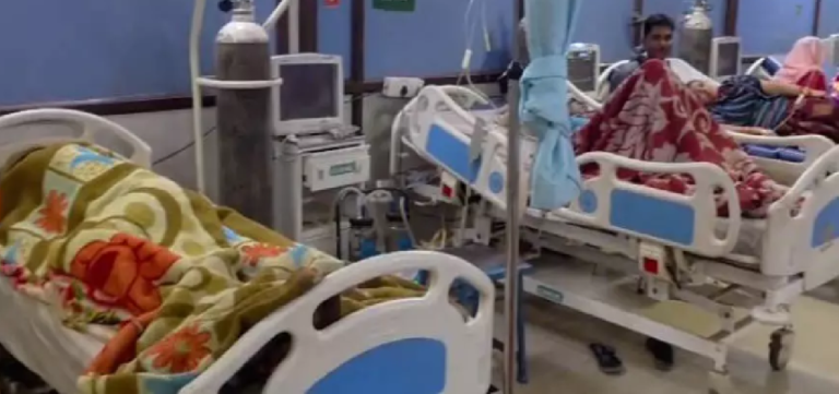 CG : देशी मशरूम खाने से फूड पॉइजनिंग, आधा दर्जन लोग बीमार …