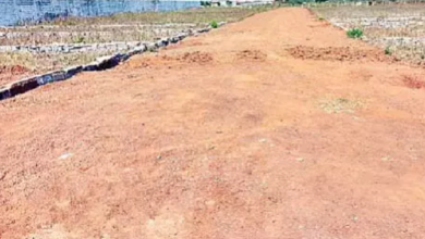 CG : कांदूल, भाठागांव, डोमा और दतरेंगा में अवैध प्लाटिंग वाले पुनः काबिज होने लगे …