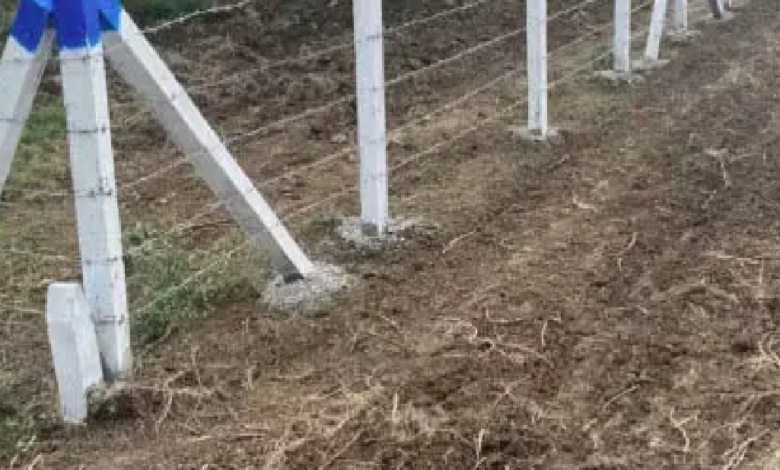 CG : खेत की मेड़ में दौड़ रहा था करंट, युवा किसान की मौत …