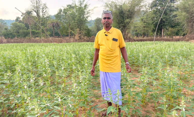 शिक्षित किसान सोनूराम ने जैविक खेती से गढ़ी सफलता की नई इबारत ...