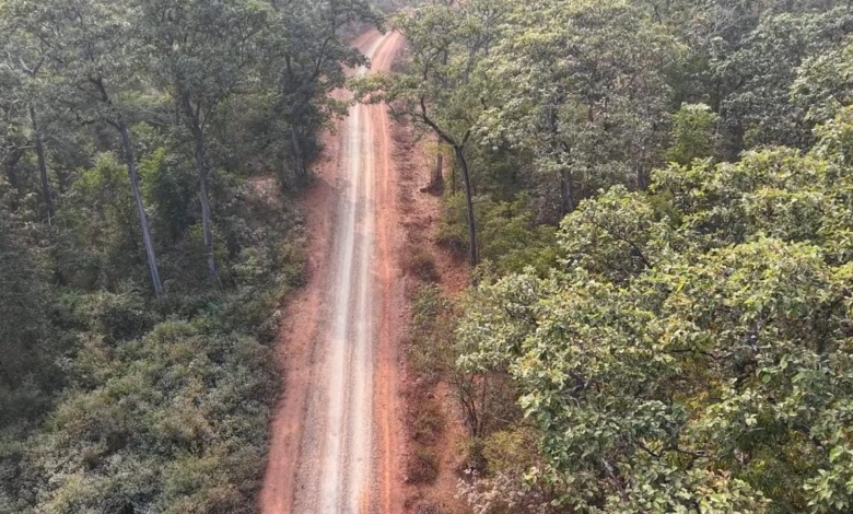 अबूझमाड़ का नया सवेरा: डोंडरीबेड़ा से कटेर की सड़क ने मिटाया दशकों का सन्नाटा ...
