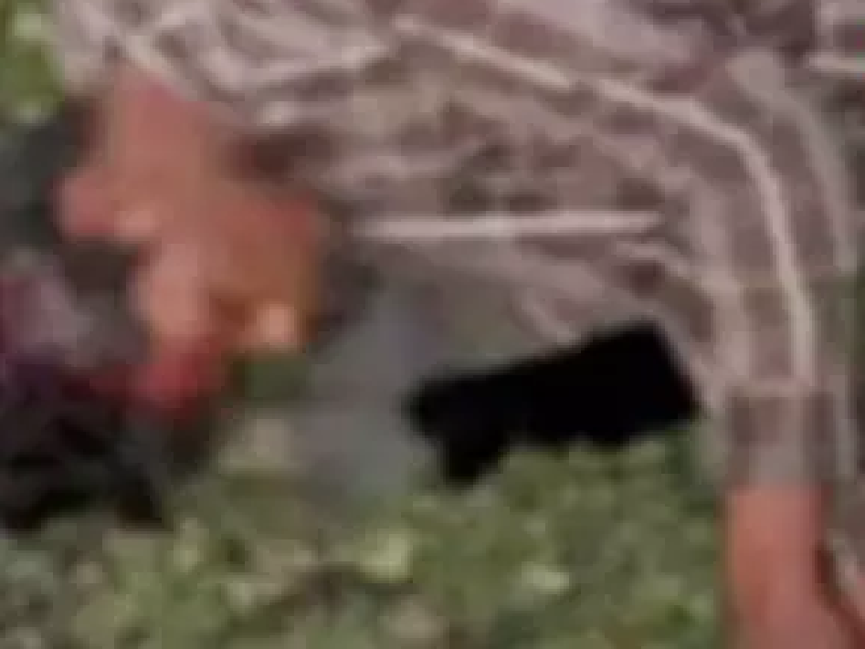 CG : मोबाइल में व्यस्त था रेलवे ट्रैक पार करते, मालगाड़ी से कटकर युवक की मौत …