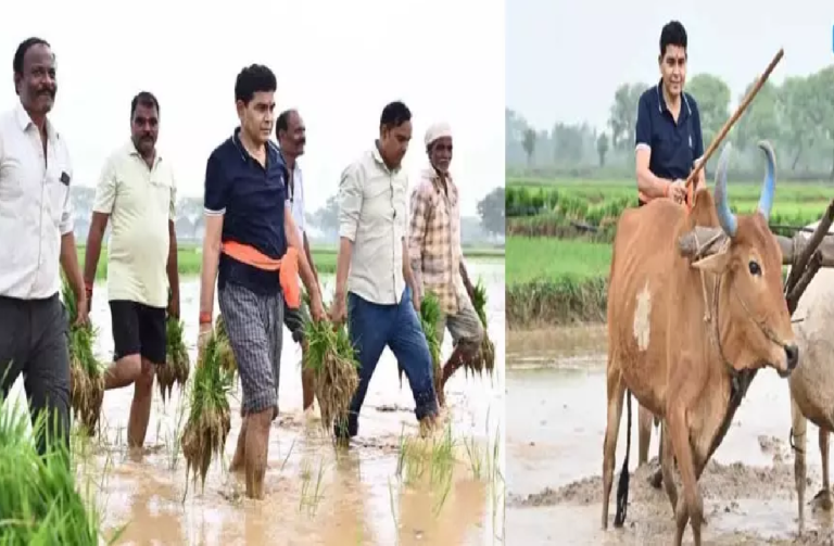 CG : विष्णुदेव साय के मंत्री ने नागर से खेत की मताई की, रोपाई में हाथ बंटाया …