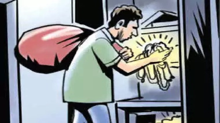 CG : बिलासपुर में बंद फ्लैट से 9 लाख के सोने के जेवर चोरी, घरेलू सहायिका से पूछताछ …