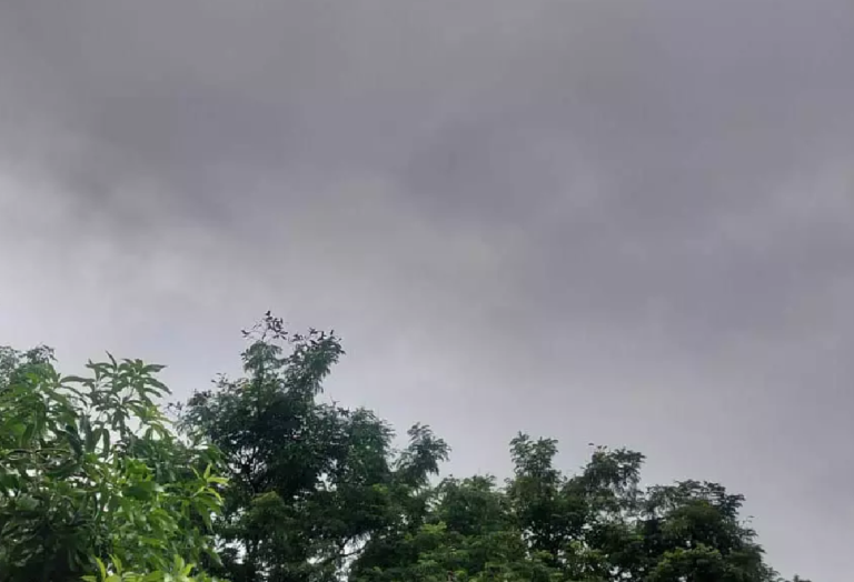 CG : छत्तीसगढ़ में हल्की बारिश कल से जारी, आज कहीं-कहीं तेज बारिश होने का अलर्ट …