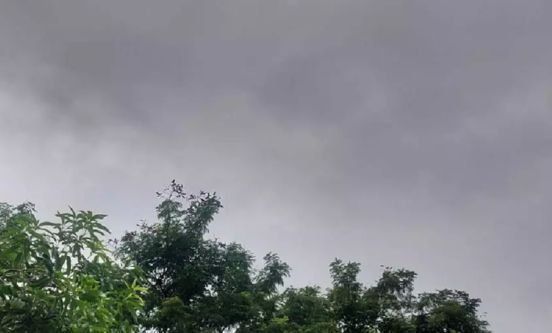CG : छत्तीसगढ़ में हल्की बारिश कल से जारी, आज कहीं-कहीं तेज बारिश होने का अलर्ट …
