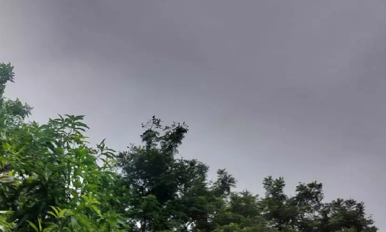 CG : अगले 2 से 3 दिनों तक लगातार बारिश के आसार, IMD की रिपोर्ट ..