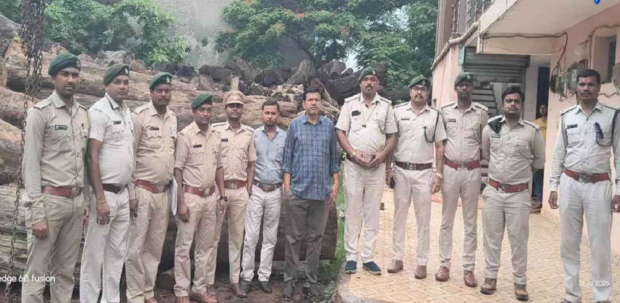 CG : रायपुर आरा मिल से 20 घन मीटर साल लकड़ी बरामद, तस्कर सुनील गुप्ता गिरफ्तार …
