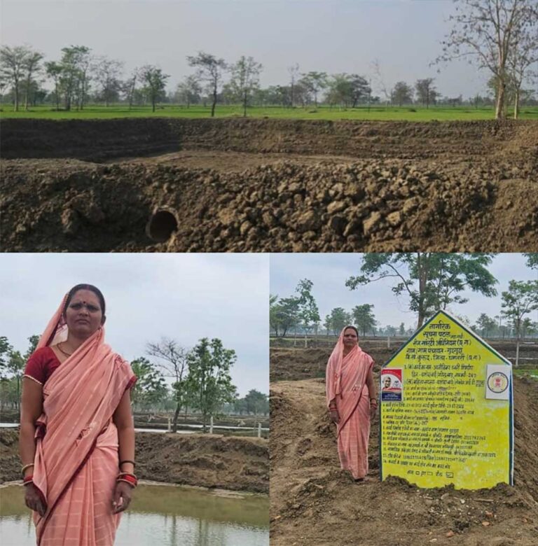 बारिश से लबालब हुए नवा तरिया और आजीविका डबरियां, जल संरक्षण अभियान को मिली रफ्तार