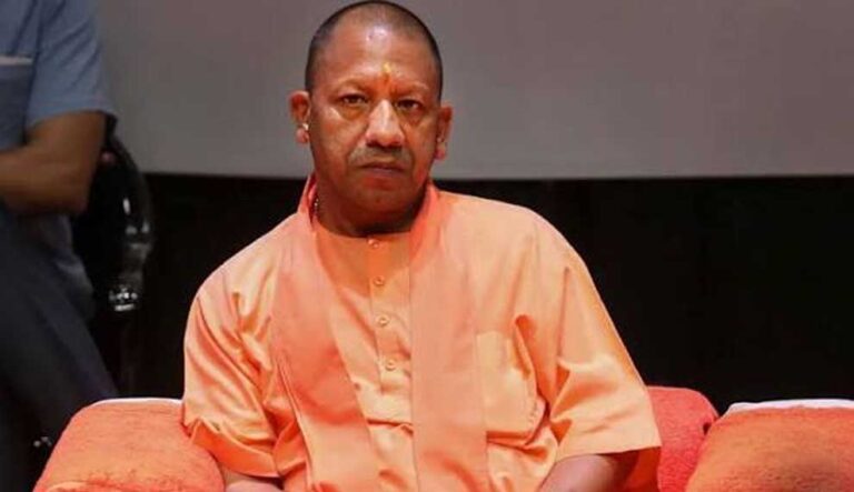 yogi_02-11.jpg