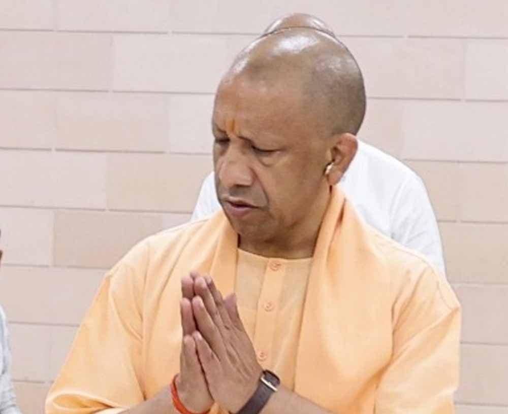 yogi_07-1.jpg