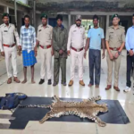 CG : वन विभाग की बड़ी कार्रवाई, आरोपियों के कब्जे से तेंदुए की खाल जब्त…