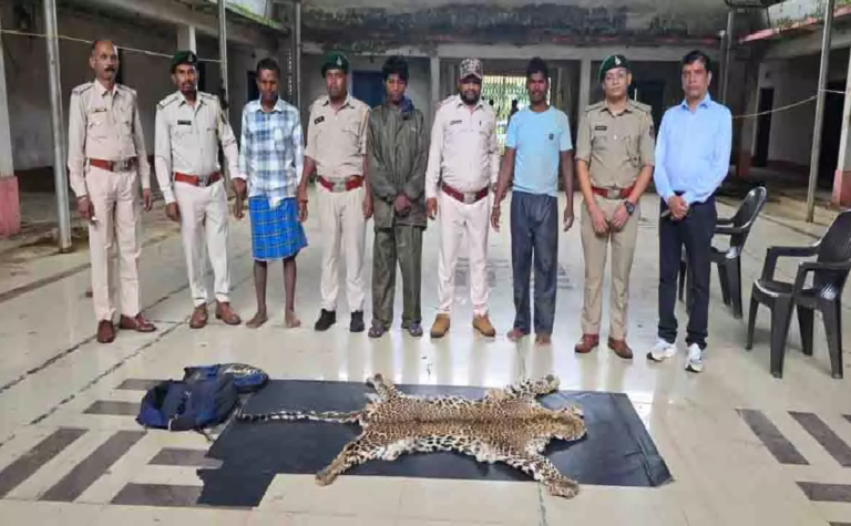 CG : वन विभाग की बड़ी कार्रवाई, आरोपियों के कब्जे से तेंदुए की खाल जब्त…