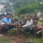 राजनांदगांव : भंवरमरा में मनाई हरेली पौधरोपण भी किया गया…