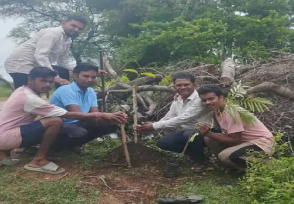 राजनांदगांव : भंवरमरा में मनाई हरेली पौधरोपण भी किया गया…