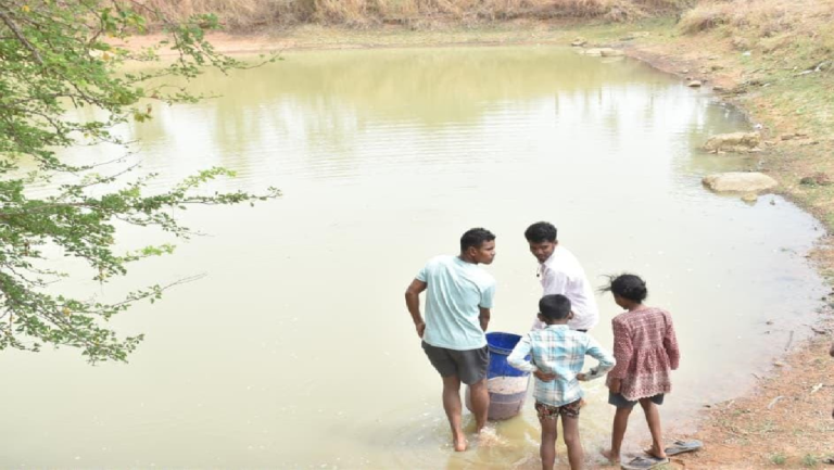 CG : जल संरक्षण से बदला जीवन: धमतरी के भोथापारा में आजीविका डबरी बनी आर्थिक स्वावलंबन का नया आधार