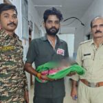 सतना में झाड़ियों में मिले नवजात को भी तत्काल मिला उपचार