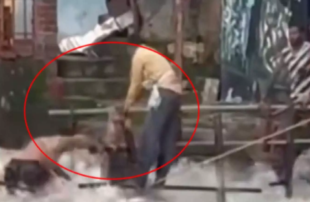 CG : मौत को दावत! धमतरी जलप्रपात के तेज बहाव में फंसे युवक, रेलिंग पकड़कर बचाई जान …