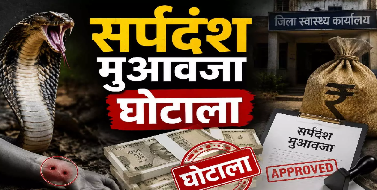 CG : सर्पदंश मुआवजा घोटाले की जांच EOW को, DGP ने दिए बड़े संकेत …