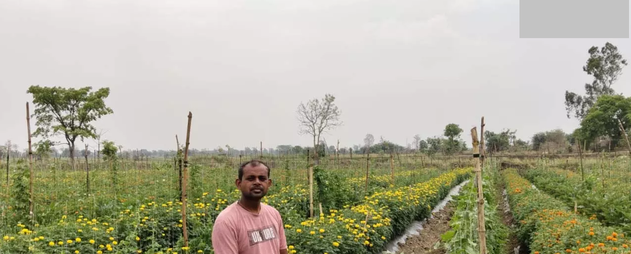 CG : कोरबा में हाथी उत्पात, किसान की मौत …