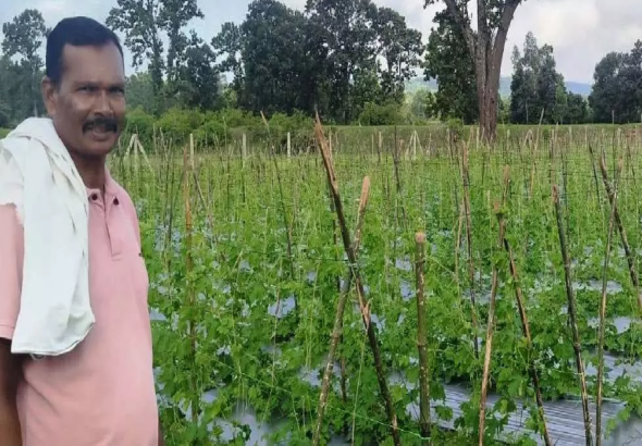 CG : वैज्ञानिक खेती अपनाकर, करेला उत्पादन में किसान बजरंग बने प्रेरणा स्रोत …