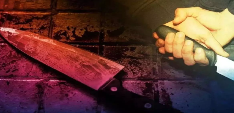 CG : गर्भवती पत्नी से विवाद के दौरान साली पर चाकू से हमला, जांच में जुटी पुलिस …