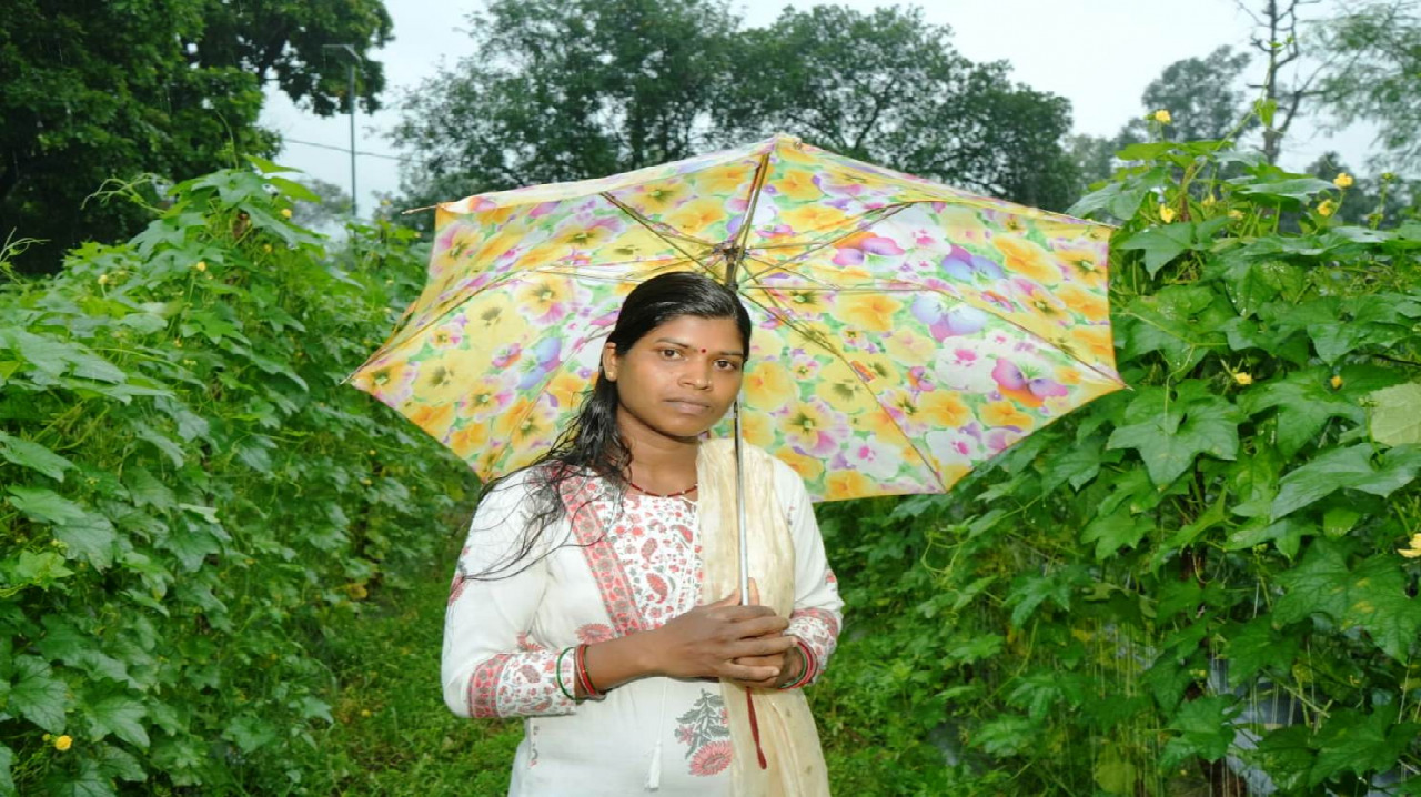 CG : बाड़ी से निकली समृद्धि की राह, सपनों को मिली नई उड़ान