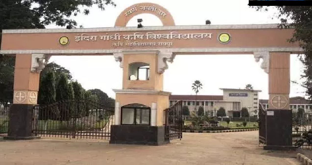 CG : आज से IGKV के स्नातक पाठ्यक्रमों में प्रवेश के लिए काउंसलिंग शुरू …