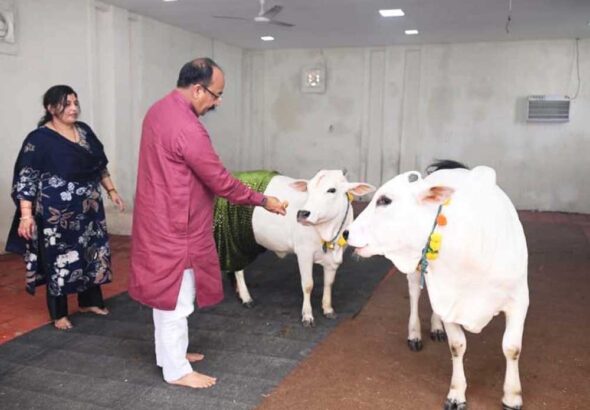 परंपरा और प्रकृति के पर्व हरेली पर उप मुख्यमंत्री अरुण साव ने प्रदेशवासियों को दी बधाई