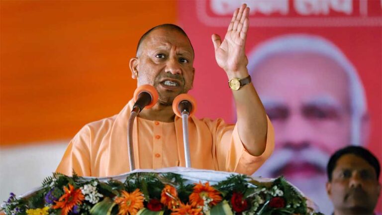 yOGI-2.jpg