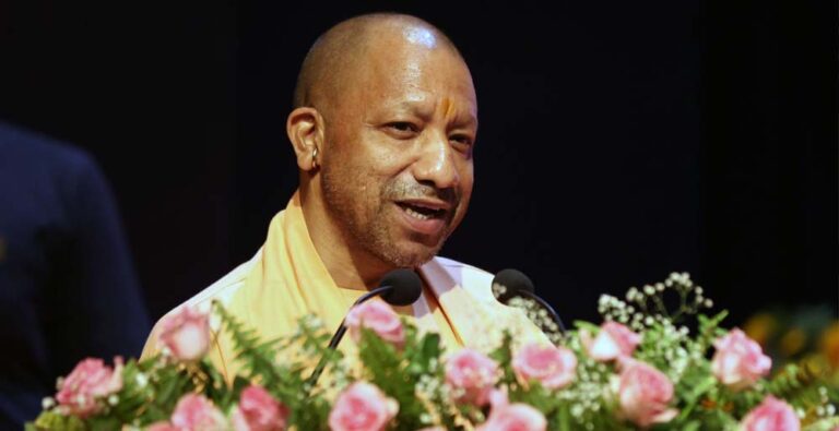 yogi_0_2_3-6.jpg