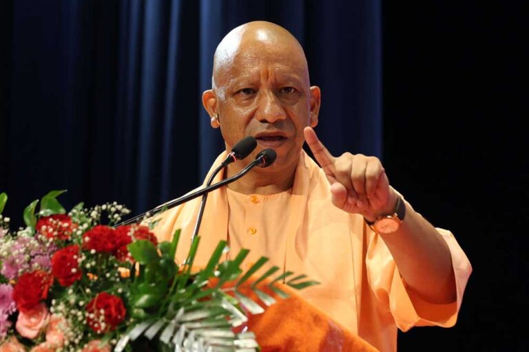 yogi_k181_2.jpg