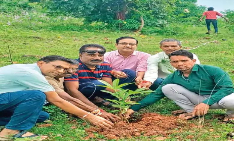 राजनांदगांव : दंतेश्वरी मंदिर पहाड़ी पर 200 प्रजाति के रोपे पौधे…