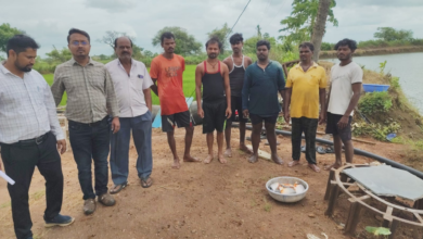 CG : सेवा संकल्प अभियान : प्रधानमंत्री मत्स्य संपदा योजना से 150 मत्स्य पालकों ने बदली अपनी किस्मत