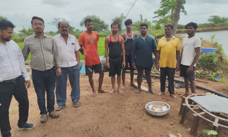 CG : सेवा संकल्प अभियान : प्रधानमंत्री मत्स्य संपदा योजना से 150 मत्स्य पालकों ने बदली अपनी किस्मत