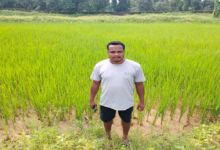 CG : सौर सुजला योजना से खेतों तक पहुंचा सिंचाई का भरोसा…
