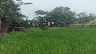 CG : सेवा की कहानी : स्टॉपडेम से खुशहाल हुए आदिवासी परिवार