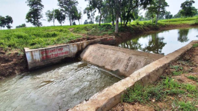 CG : सेवा संकल्प अभियान: सेवा की कहानी- चेकडेम ने बदली गांव की तस्वीर, खेती को मिला सिंचाई का सहारा ﻿