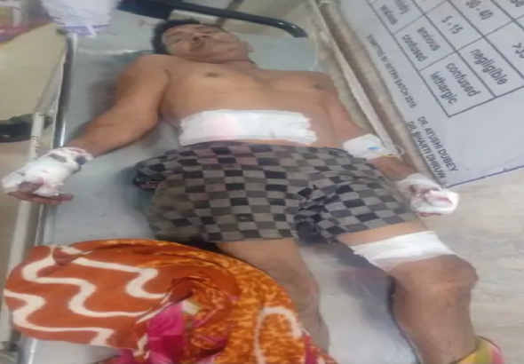 राजनांदगांव : खेत में काम कर रहे लोगों पर जंगली सुअरों का हमला…